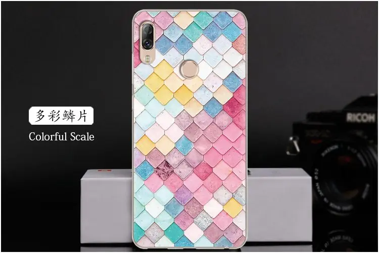  Colorful Scale