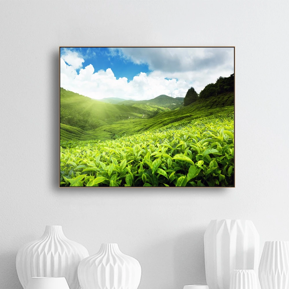 

Wall Painting HD Canvas Art Print Mountain Tea Tree Landscape Under The Sun Posters And Prints Modern Home Decoration Picture