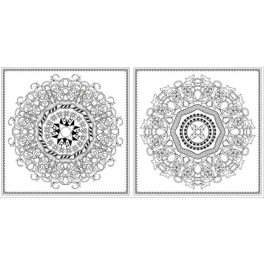 55c0706aN556bd776