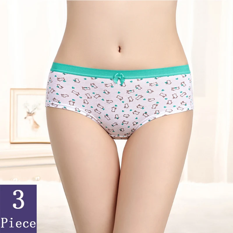

3pcs Cute Panties Women New Style Fashion Sexy Lingerie Boyshort Low Waist Cotton Underwear Soft Comfortable Beautiful Briefs