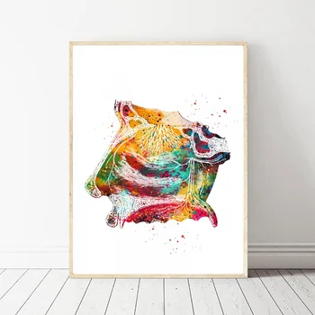 

Nose section Color Art Poster Picture Print on Canvas Home Decor