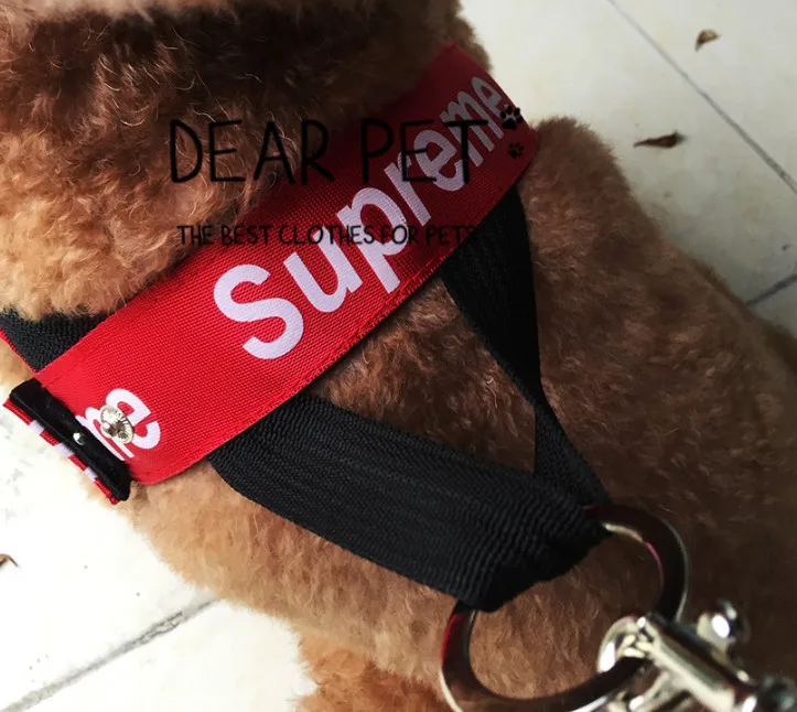 supreme dog collar and leash