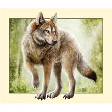 Обычай алмаз живопись эйген фото птица животных Волк 5d diy Мандала алмаз живопись полный квадратный/круглый фильмы украшения maison