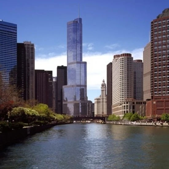 Skyscraper in a city  Trump Tower  Chicago River  Chicago  Cook County  Illinois  USA Poster Print (14 x 11)