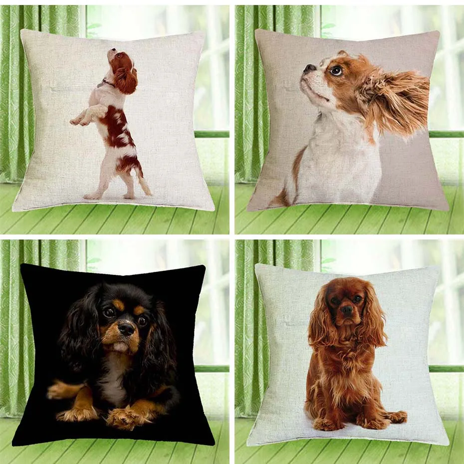 

Cavalier King Charles Spaniel 43X43cm Pillow Cases Pillowcase Bedroom Sofa Home Decoration