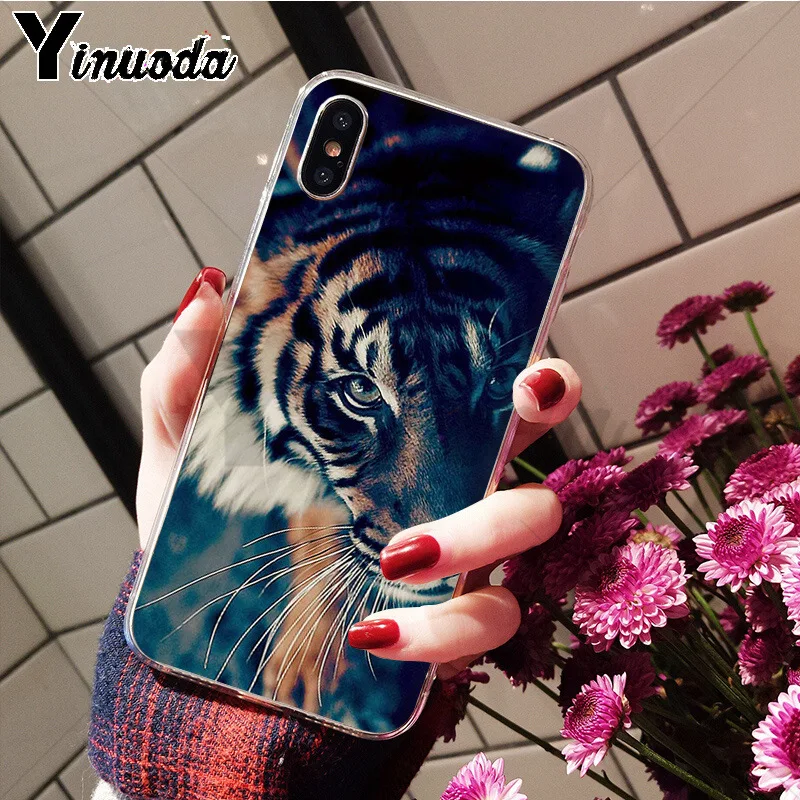 Anime tiger