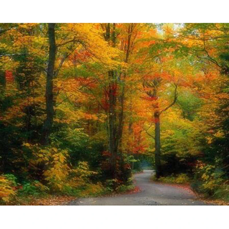 осень описание природы. рассказ по осень. три предложения на тему осень. осенний лес сочинение. красивое описание осени.