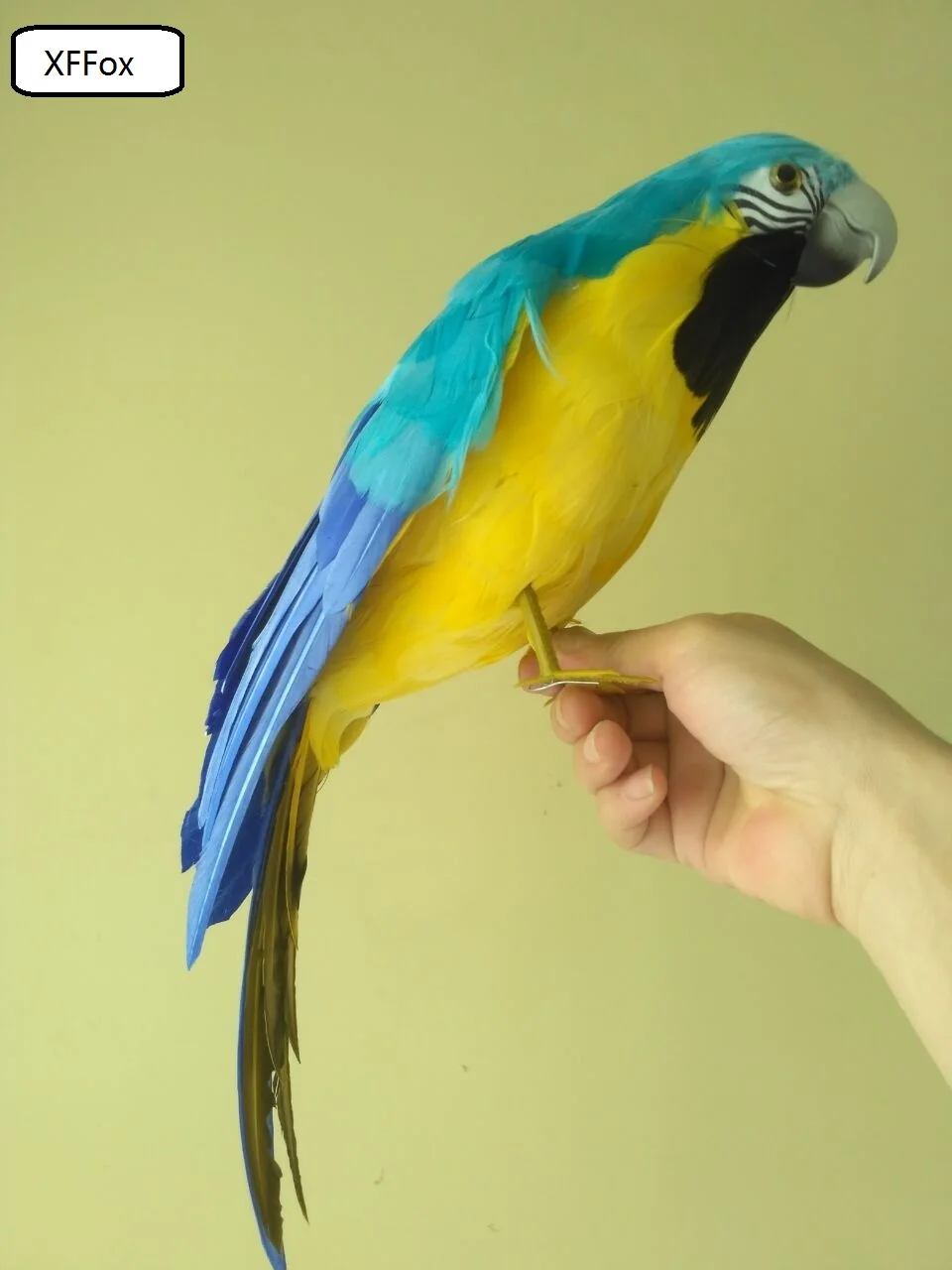 

real life blue&yellow parrot model foam&feather simulation little wings parrot bird gift about 45cm xf0169
