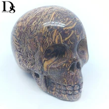 DS 2 дюйма Coquina Jasper череп кварцевый кристалл золотой нефрит черепа ручное резное Исцеление Кристалл Фигурка для украшения дома