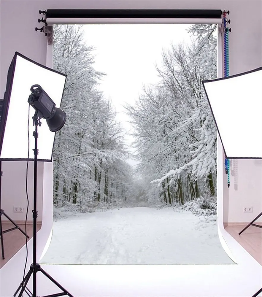 

Photography Backdrop Xmas Rural Christmas Snow Scene Photo Background