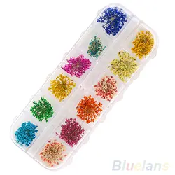 Лучшие продажи 36 шт. 12 Цветов настоящие высушенные цветы DIY Дизайн ногтей советы Наклейки маникюр декор