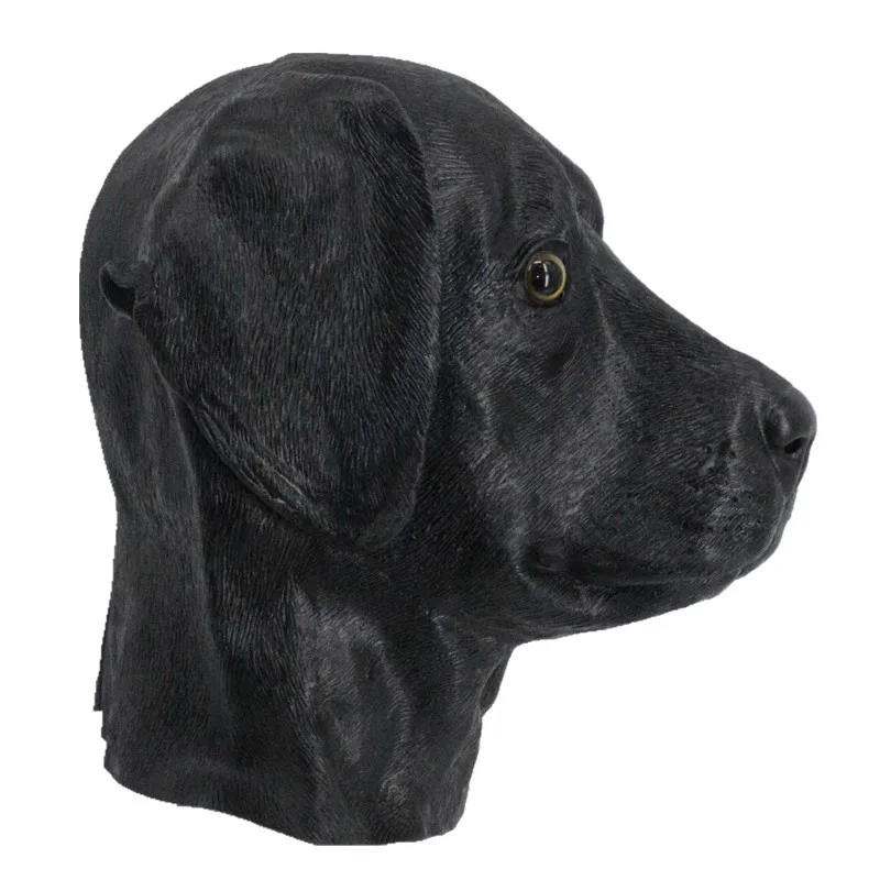 HY-AM050 Black dog