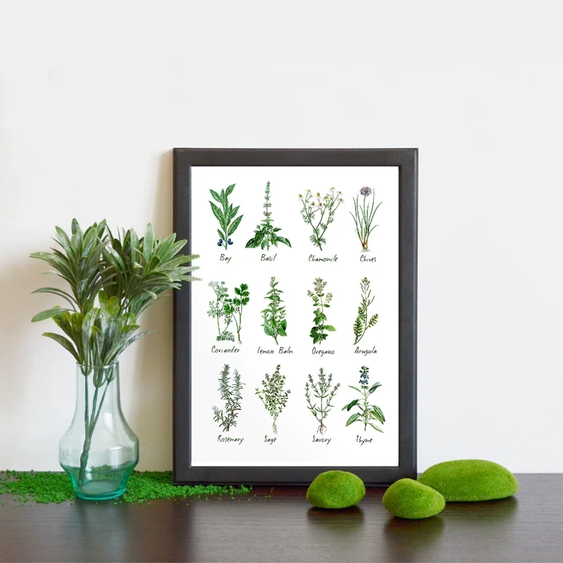 Herbs and Spices Chart Canvas Art Painting Kitchen Decor