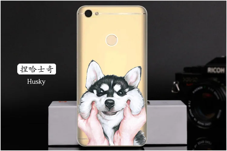  Husky