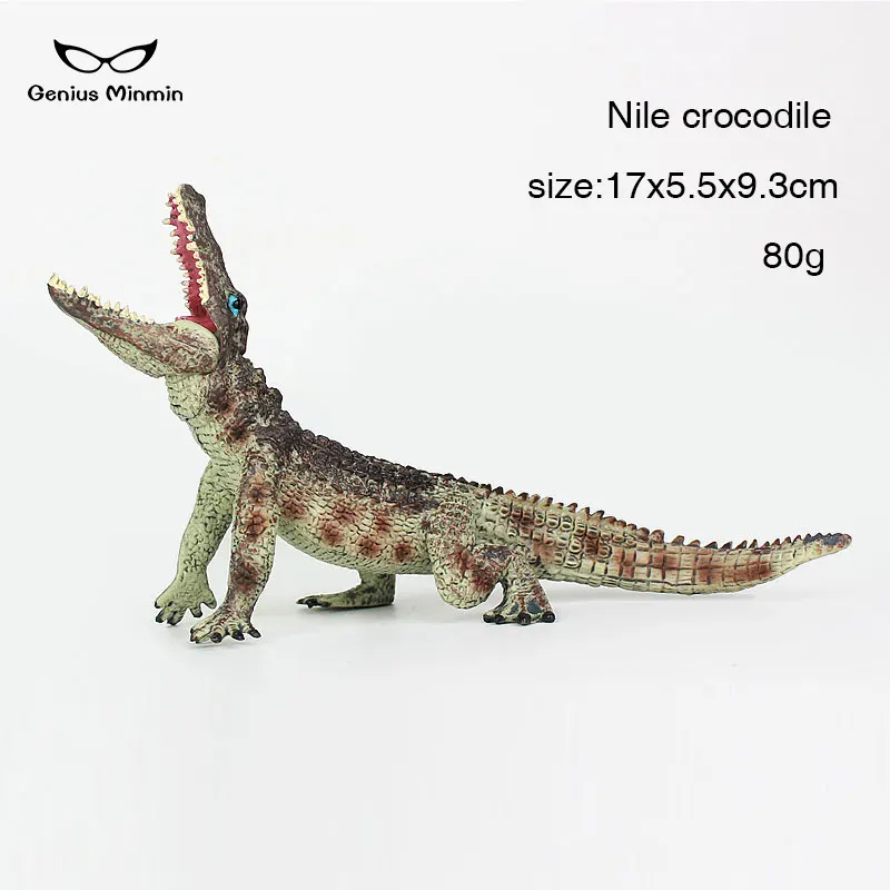 Hot sale crocodile simulation Sarcosuchus model Animal Nile crocodile action and high quality toy figures collection gift Hot sale crocodile simulation Sarcosuchus model Animal Nile crocodile action and high quality toy figures collection gift
