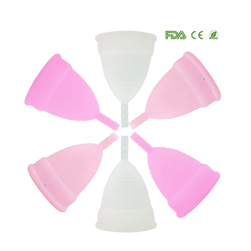 Lady Cup (31)
