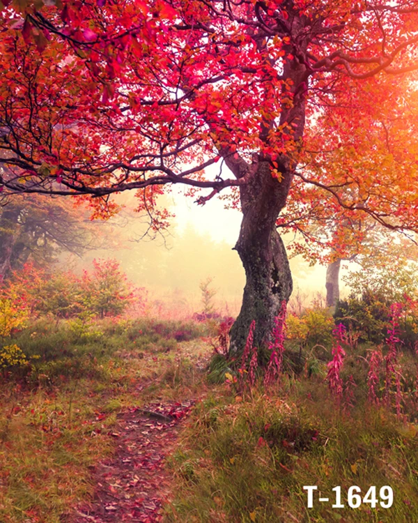 

new arrived hot sale 8*12ft vinyl photography photo studio photographic backdrops road tree red t-1649