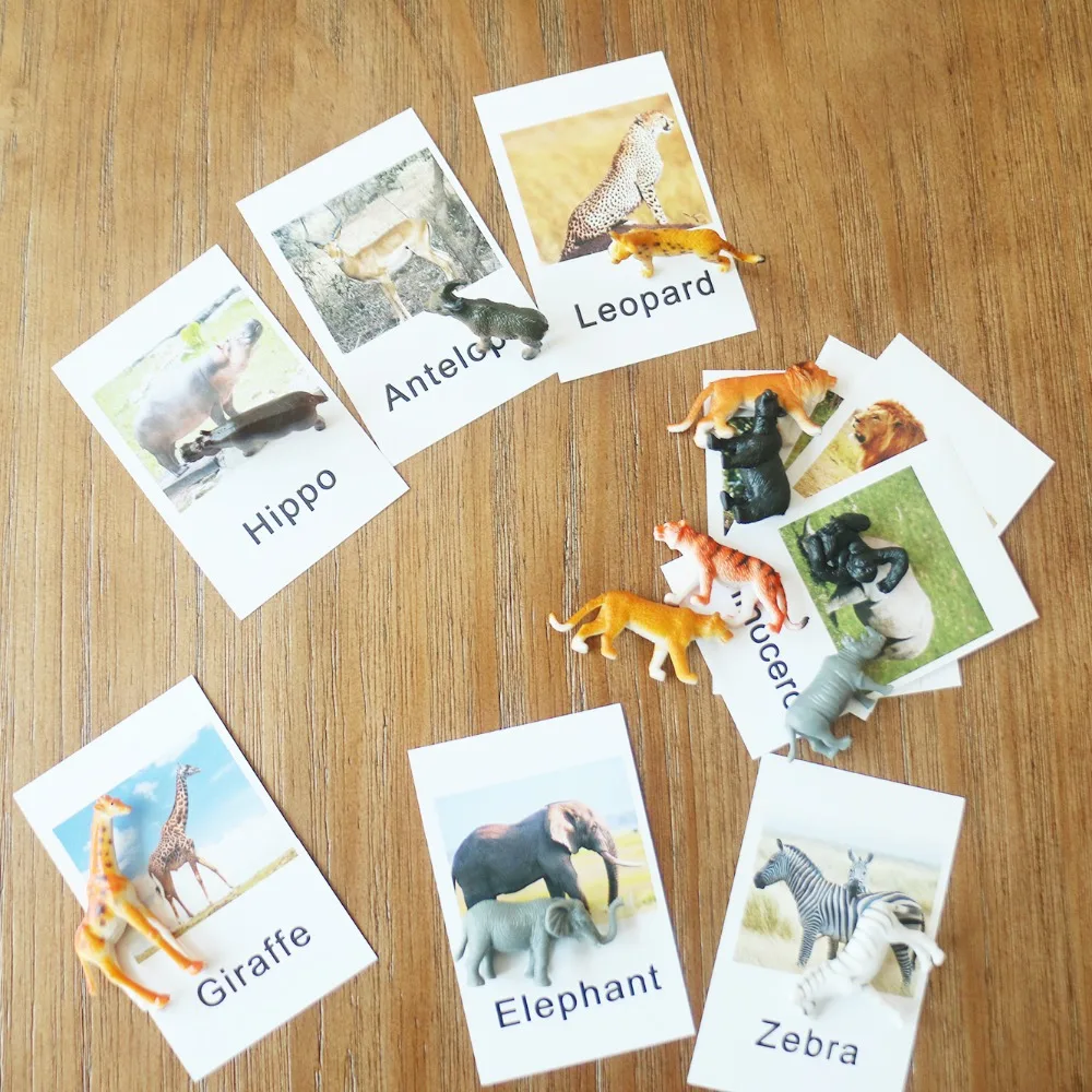 Montessori Infant Toys Montessori Animal Cards Preschool Learning Educational Toys for Toddlers Juguetes Brinquedos MI3044H Montessori Infant Toys Montessori Animal Cards Preschool Learning Educational Toys for Toddlers Juguetes Brinquedos MI3044H