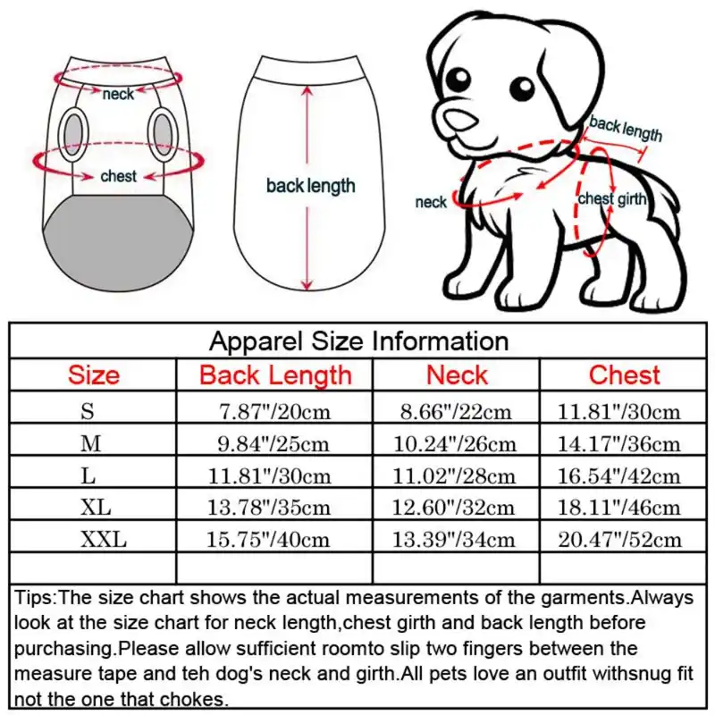 Chihuahua Size Chart