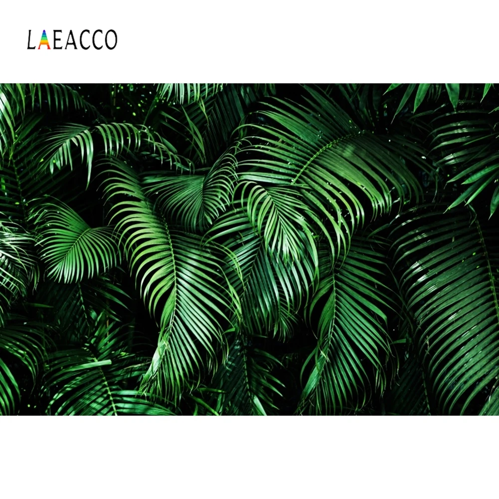 

Laeacco Green Backdrop Tropical Palm Tree Leaves Photography Backgrounds Customized Photographic Backdrops For Photo Studio