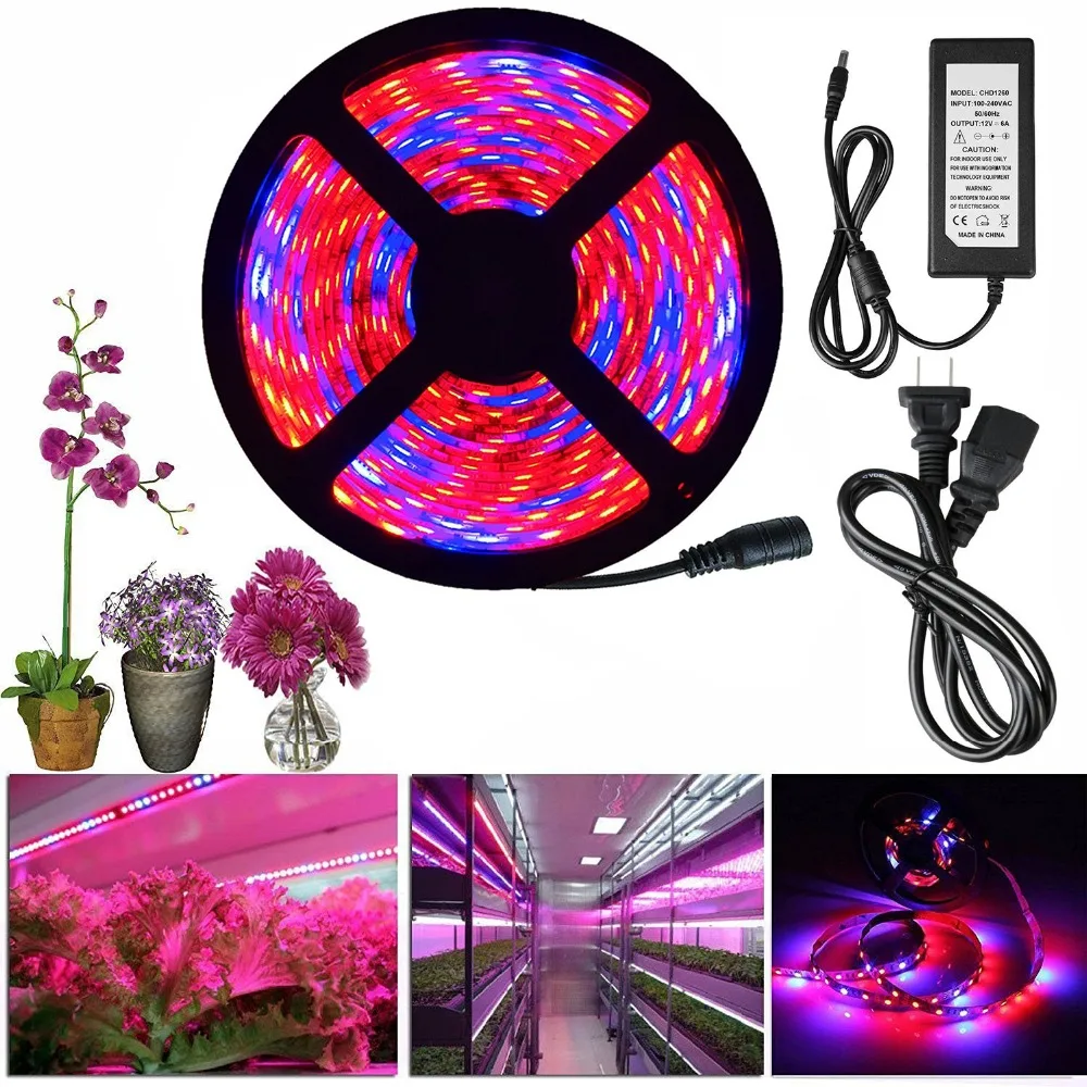Светодиодный светильник для выращивания растений, полный спектр постоянного тока 12 В 5050, аквариумный светильник для теплицы, набор для выращивания растений+ адаптер, гидропонная лампа apollo phyto