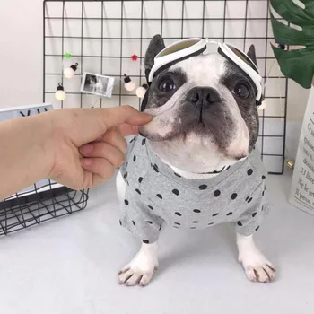 

Grey Base Polka Dot Tee for French Bulldogs & Other Small Dogs, Dog Clothings [Code: PDT]
