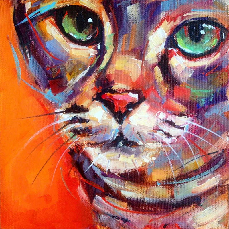 Cartoon color cat-5