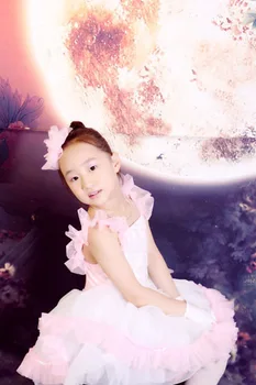 

Gymnastics Leotard Child Leotard Evening Dress Princess Costume Female Latin Dance Clothes 8029 Ballet Tutu,ballet For Children