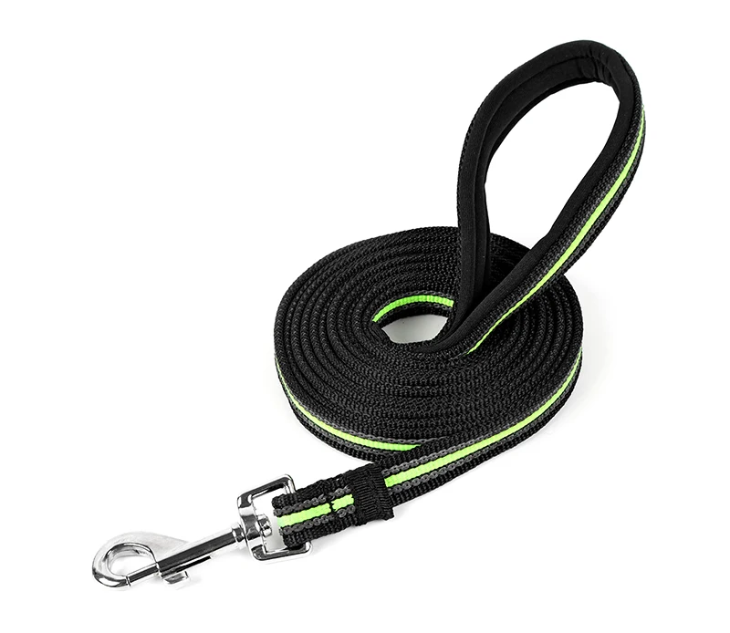 dog-leash-30308-g03