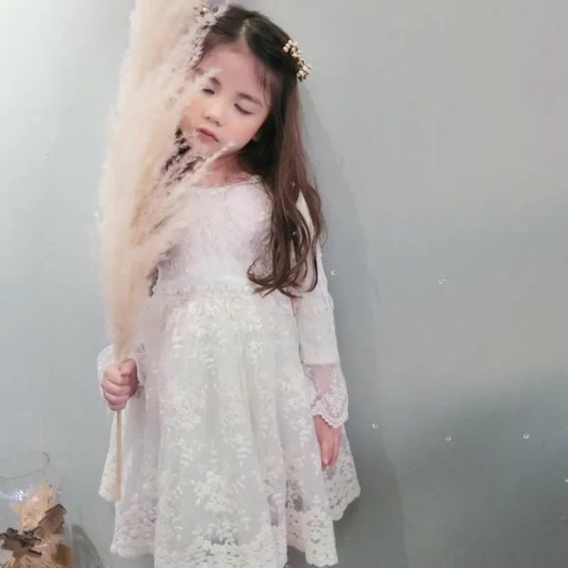 DFXD Kids Girls Princess Dress Spring Autumn 2018 High Quality Long Sleeve Lace Embroidered A-line Girl Dresses Vestido 2-8Years DFXD Kids Girls Princess Dress Spring Autumn 2018 High Quality Long Sleeve Lace Embroidered A-line Girl Dresses Vestido 2-8Years