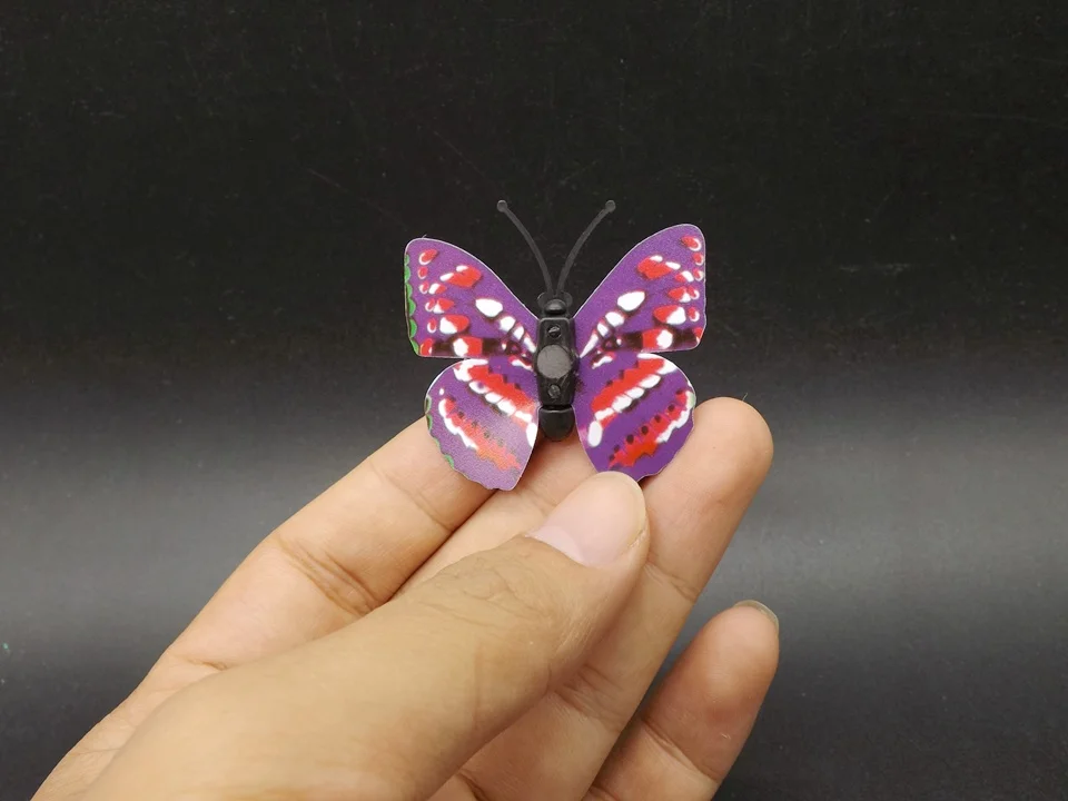 I247-Butterfly (4)