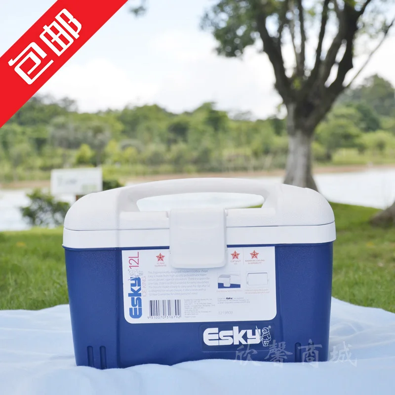 Esky cooler box 12l car refrigerator fresh box coolerx bag cooler bag brick insulation fishing