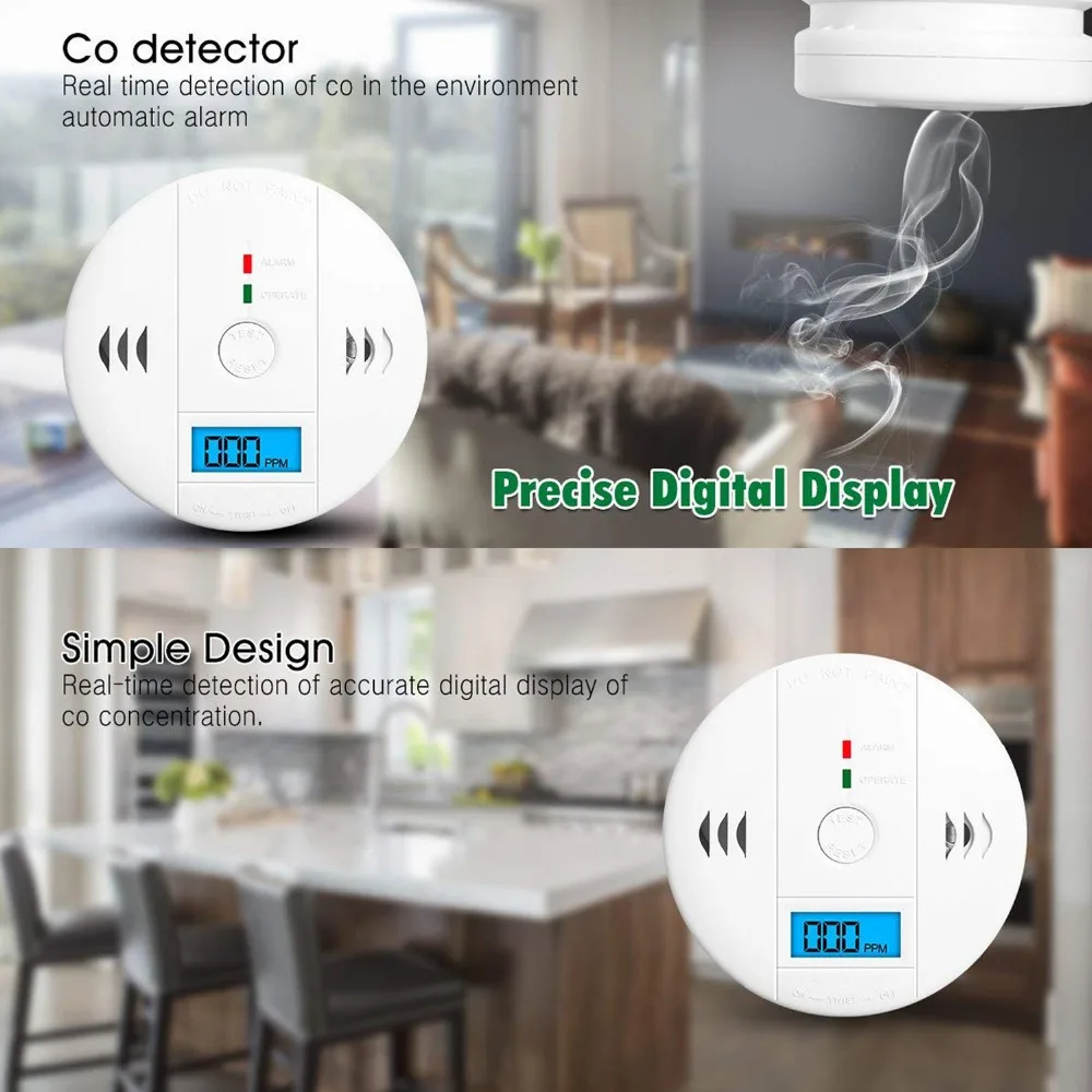 Carbon Monoxide Detector5