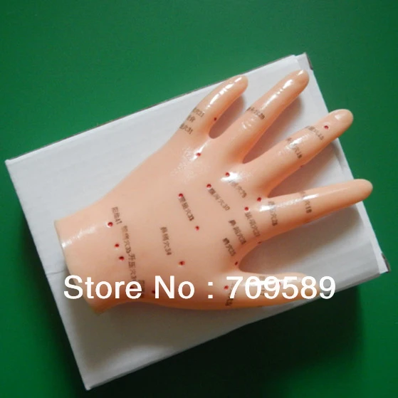 Ручная акупунктурная модель ручная с акупунктурными точками|acupuncture model|acupoint modelhand