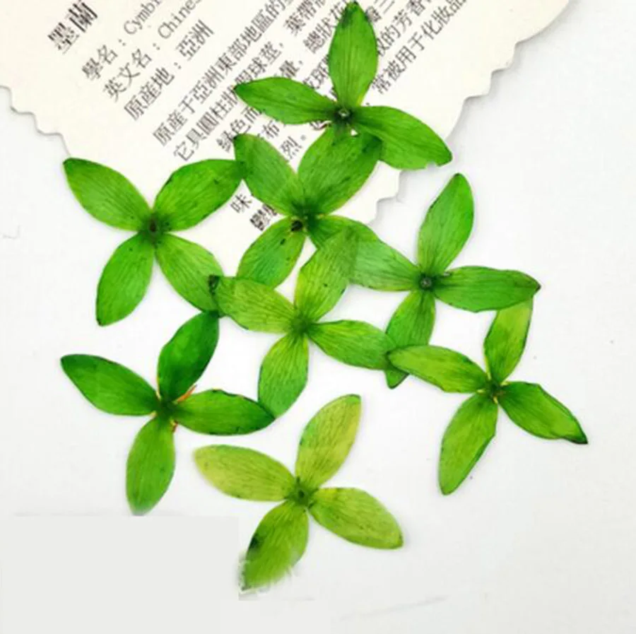 (HSWL)-green