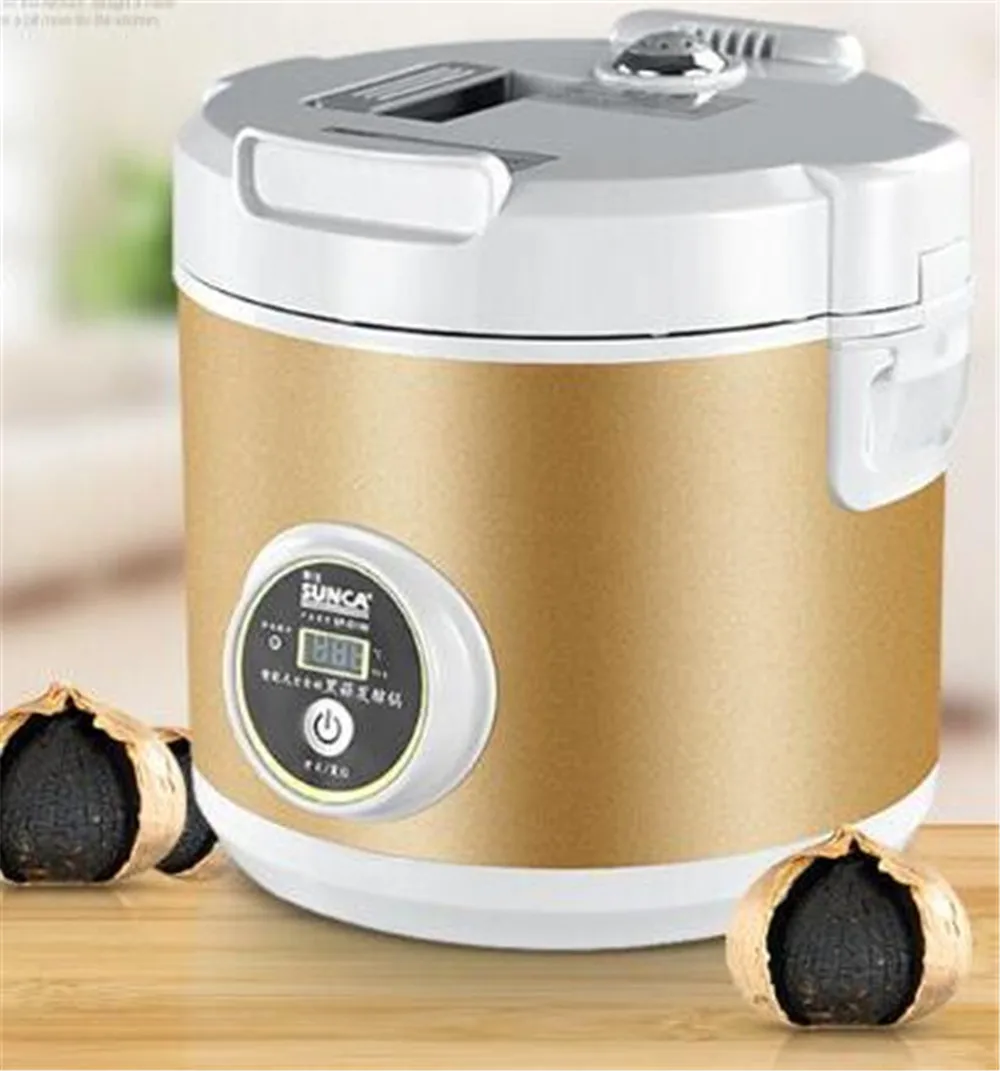 black garlic machine14