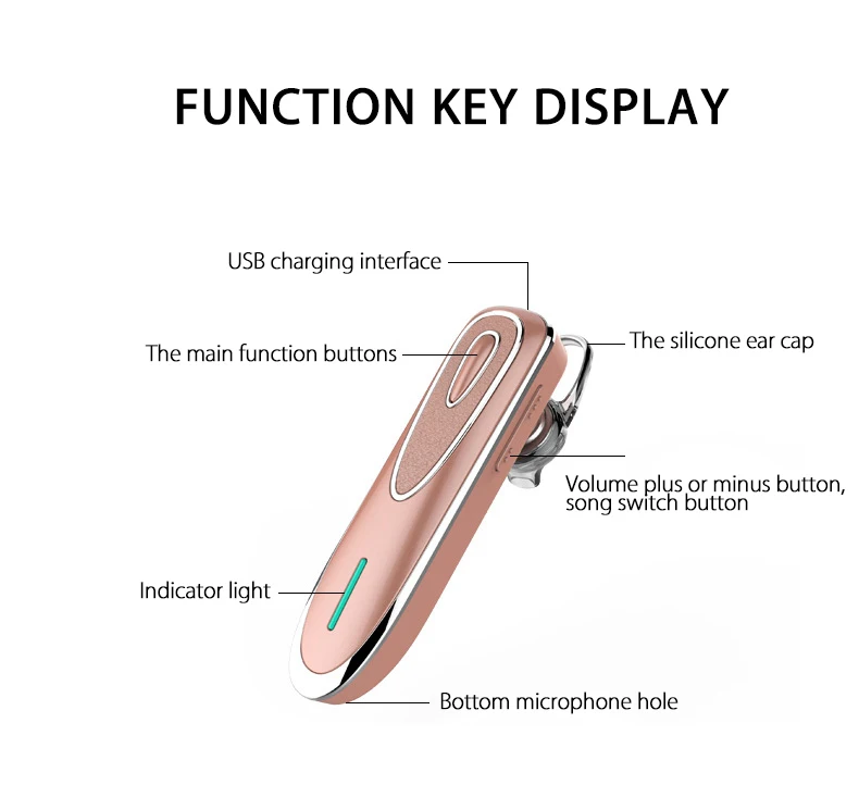3157093853_1866479995