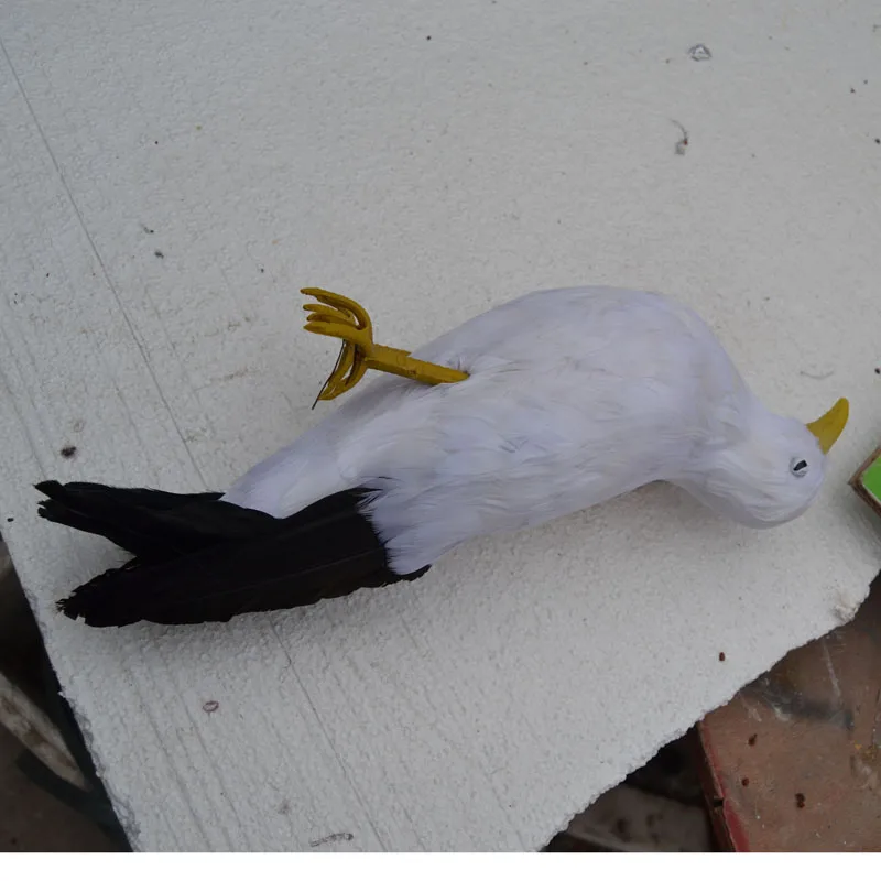 creative simulation Seagull toy plastic & feather dead simulaiton seagull bird model about 30cm 1483