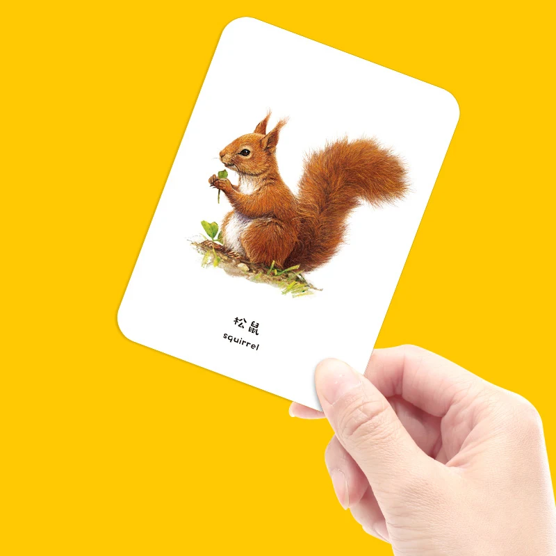 

New Baby Learning Animals English Card Book Intelligence Development Learn Picture Cognize Waterproof Reading Card Book for Kids