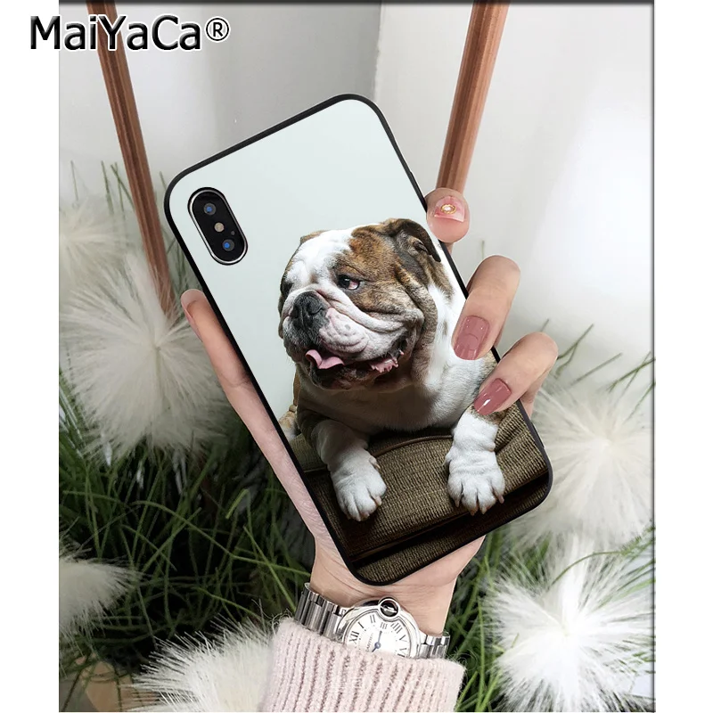 Cute Anime Bulldog