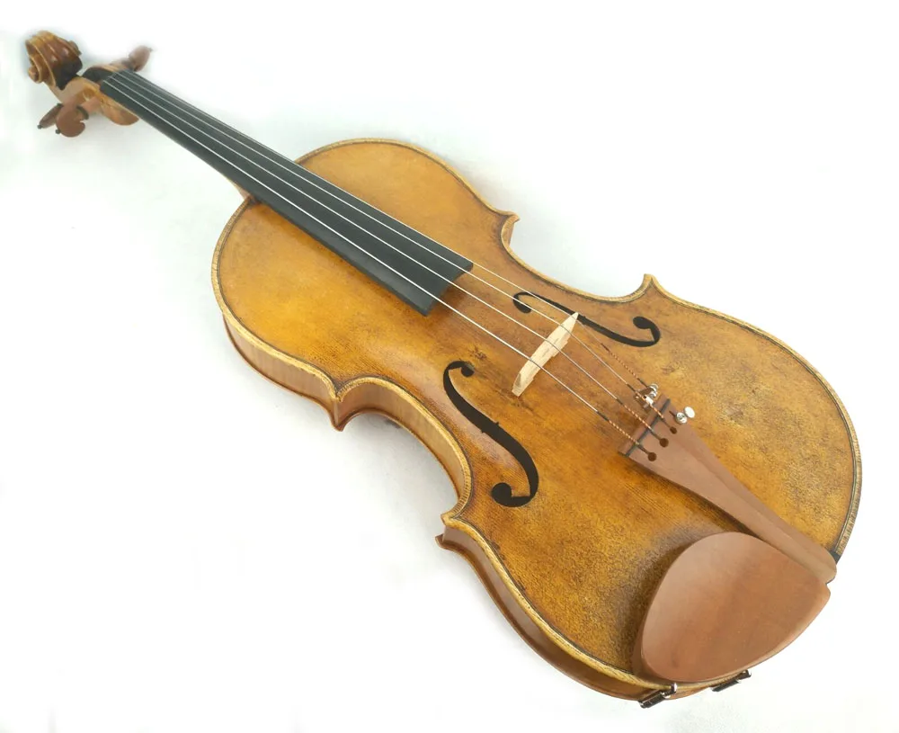 1856-7