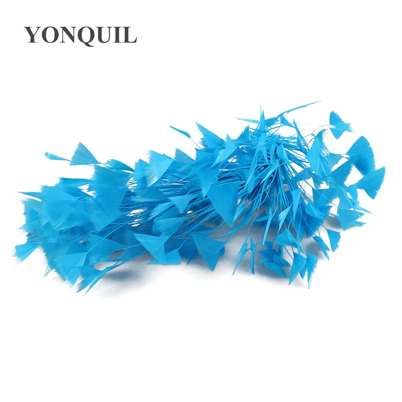 SYFE12(31)