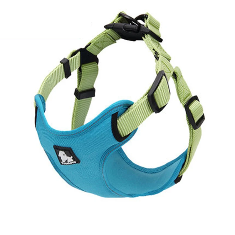 puppy collar set (6)