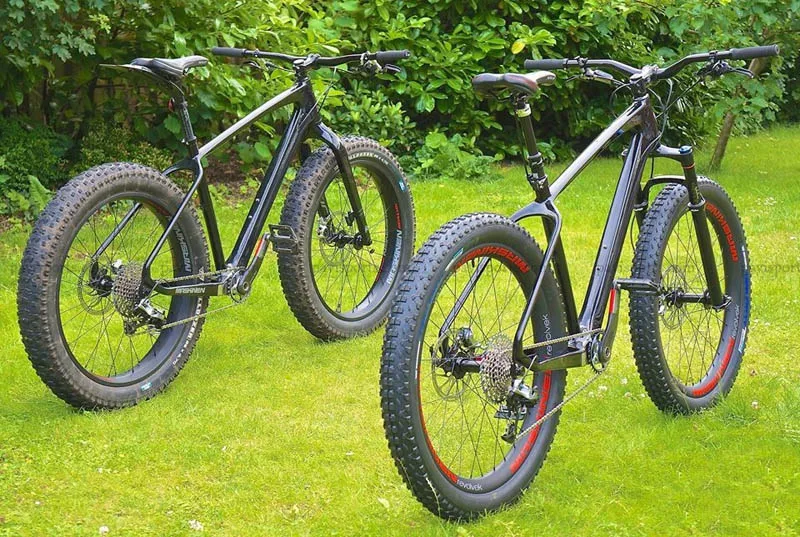 carbon fat bike