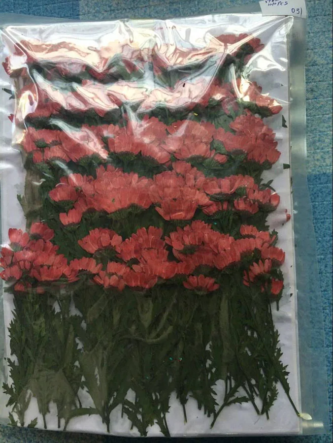-red