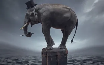 

Magician elephant sea art fantasy 4 Sizes Home Decoration Canvas Poster Print