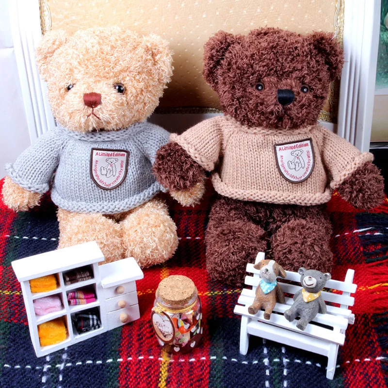 teddy with recording
