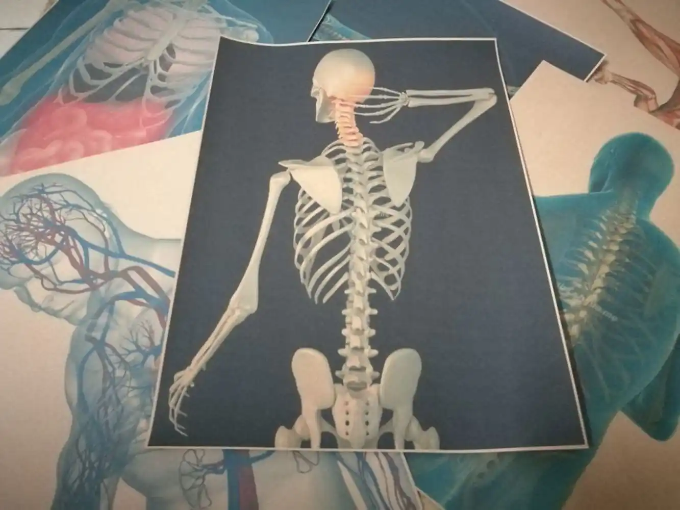 ثلاثية الأبعاد الأشعة السينية المسح رجل الإنسان تشريح ريترو كرافت
