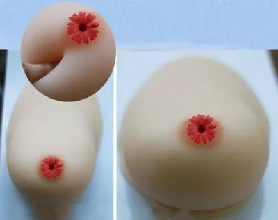 

Big Size Silica Gel Simulation Breast Silicone Female Breast Model Medicine Teaching Model Lactation Prolactin Examination Model