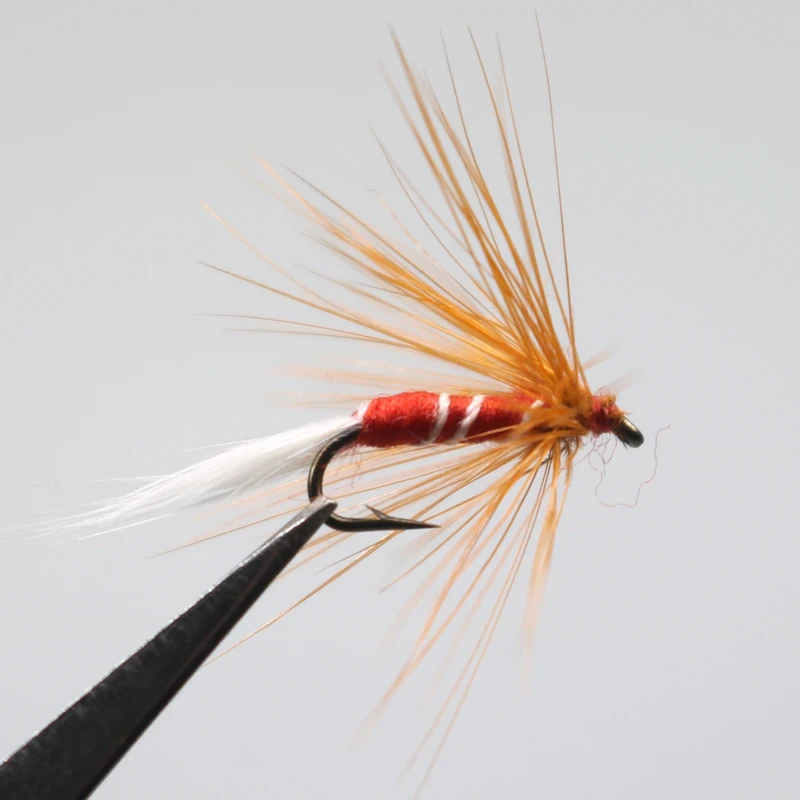 8PCS Brown Soft Hackle White Tail Red Body Wet Fly Flies Trout Fly